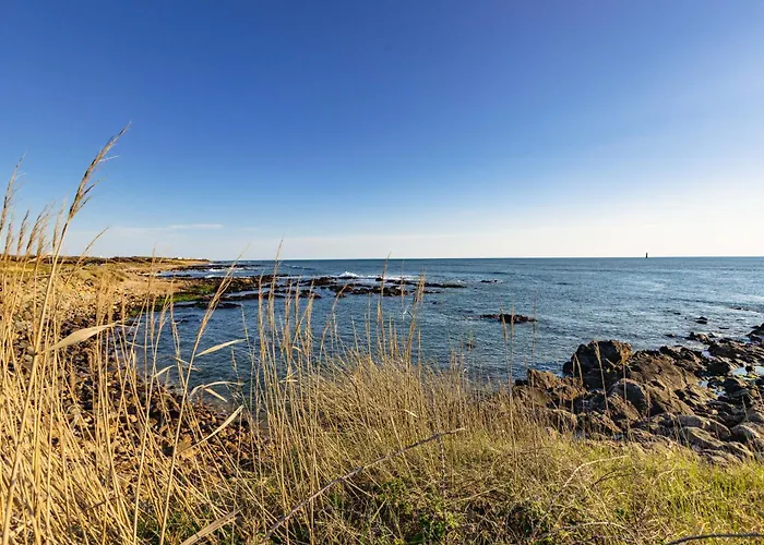 La Chaumoise - Maison 3 Etoiles - Garage 度假居 莱萨布勒-多洛讷